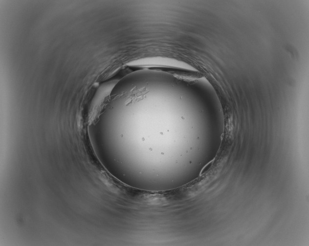 X0000113160424200909181815