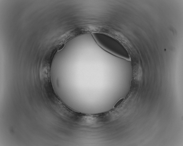 X0000113160425200909181815