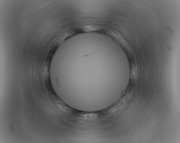 X0000113160426200909181815