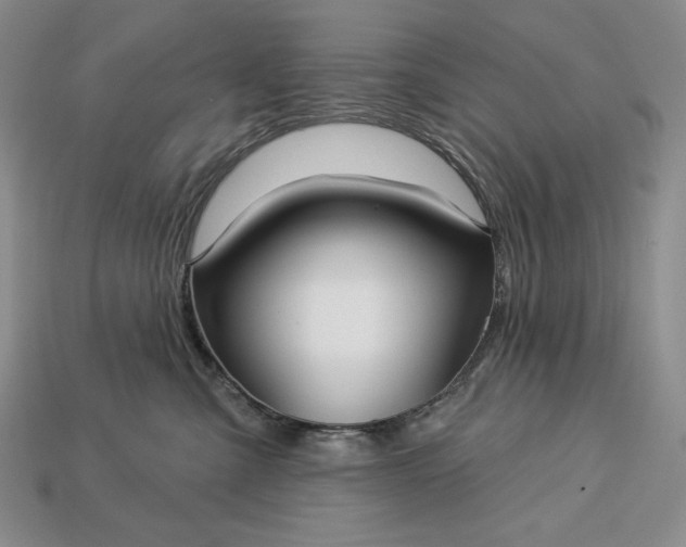 X0000113160427200909181815