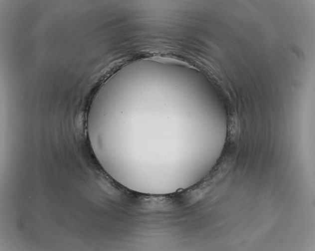 X0000113160428200909181815