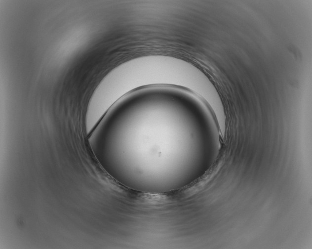 X0000113160429200909181815