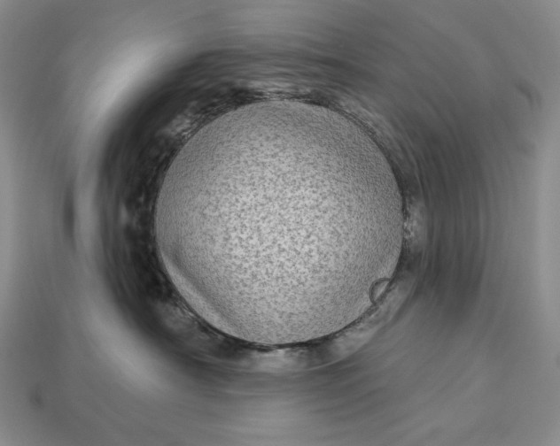 X0000113160430200909181815