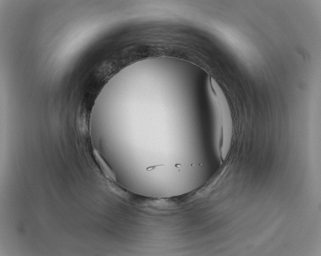 X0000113160431200909181815