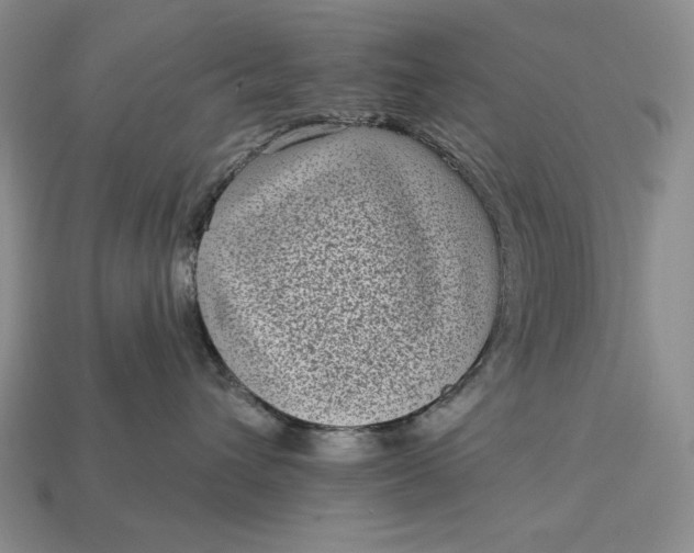 X0000113160432200909181815