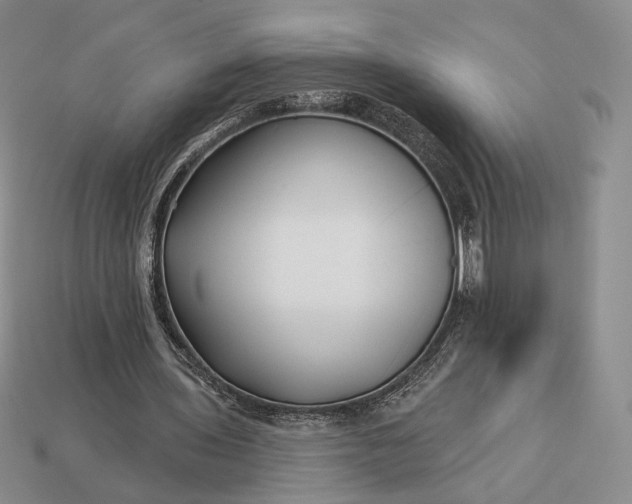 X0000113160435200909181814