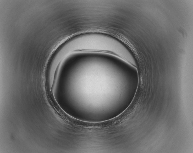 X0000113160436200909181814