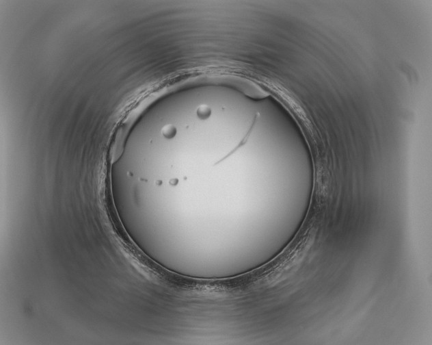 X0000113160437200909181814