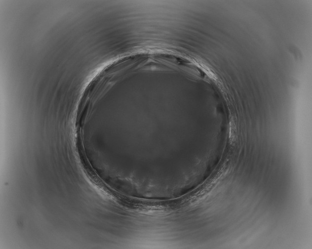 X0000113160438200909181814