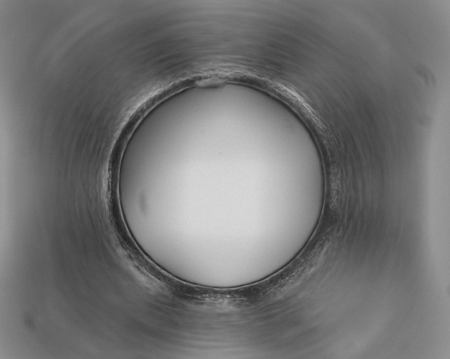 X0000113160439200909181814