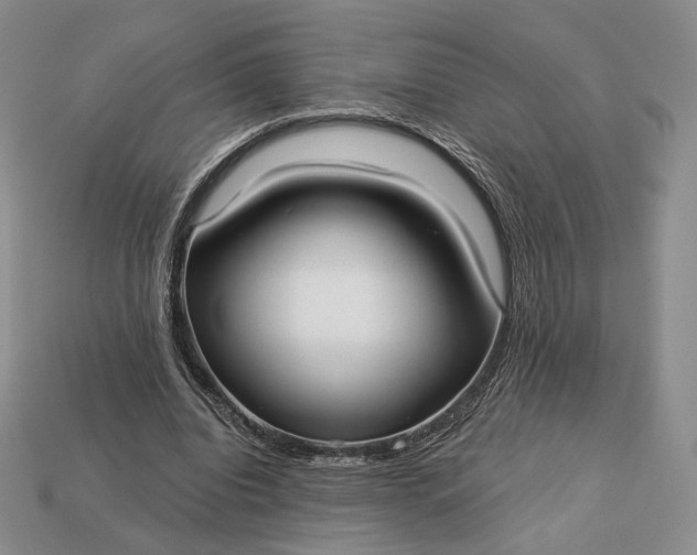 X0000113160440200909181814