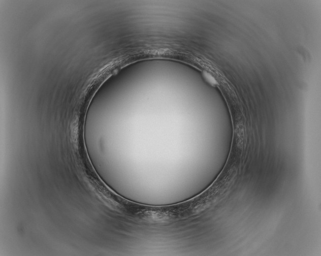 X0000113160442200909181814