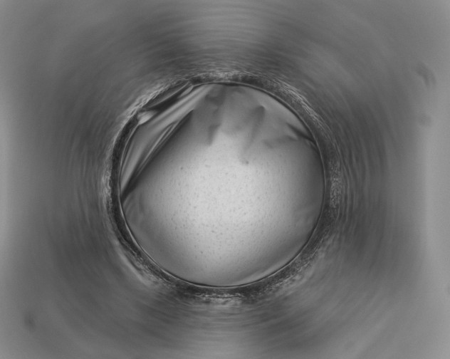 X0000113160443200909181814