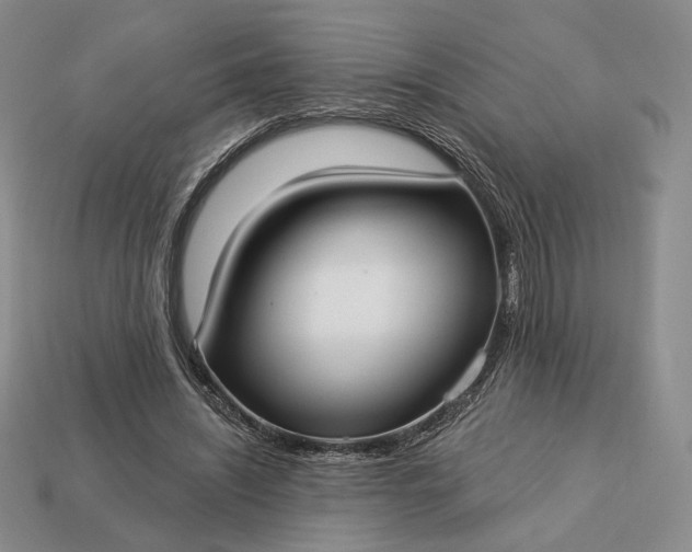 X0000113160444200909181814