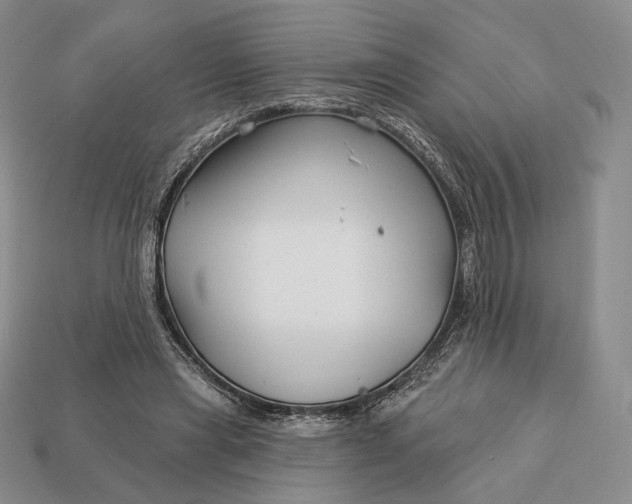 X0000113160445200909181814