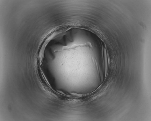 X0000113160446200909181814