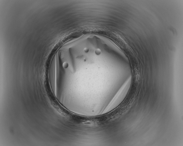 X0000113160447200909181815