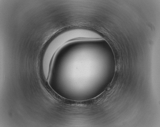 X0000113160448200909181815