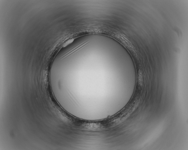 X0000113160449200909181815