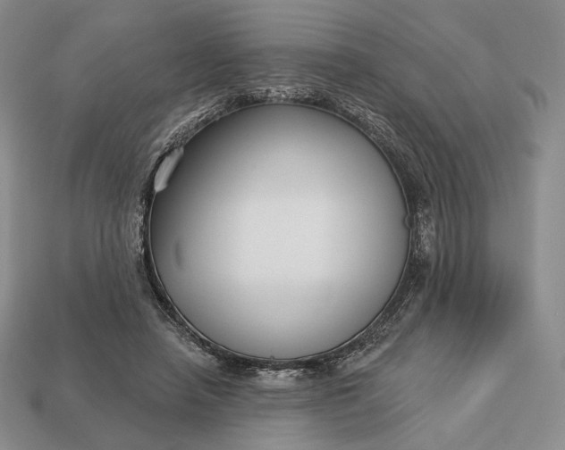 X0000113160450200909181815