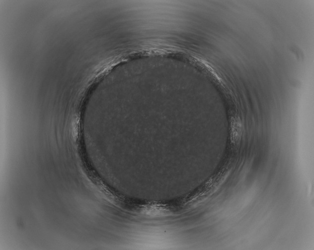 X0000113160451200909181815