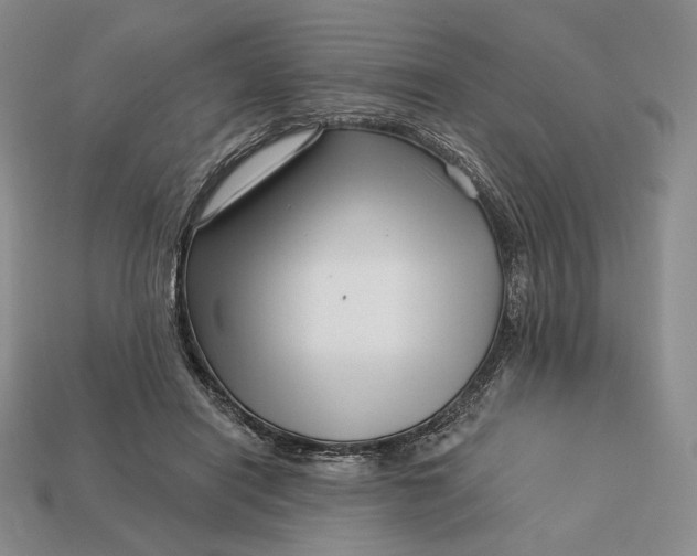 X0000113160454200909181815