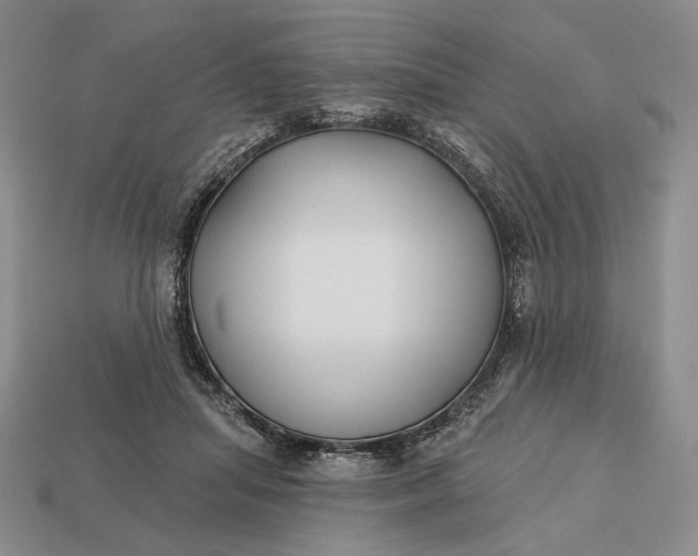 X0000113160455200909181815