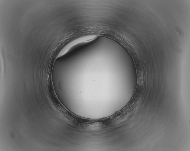 X0000113160456200909181815