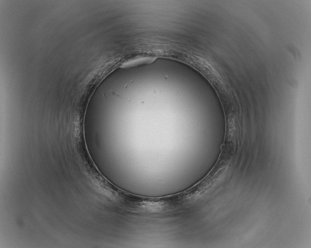 X0000113160457200909181815