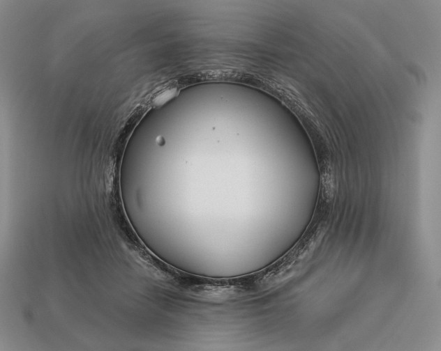 X0000113160458200909181815