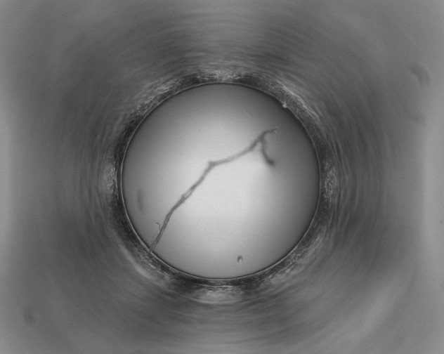 X0000113160459200909181815