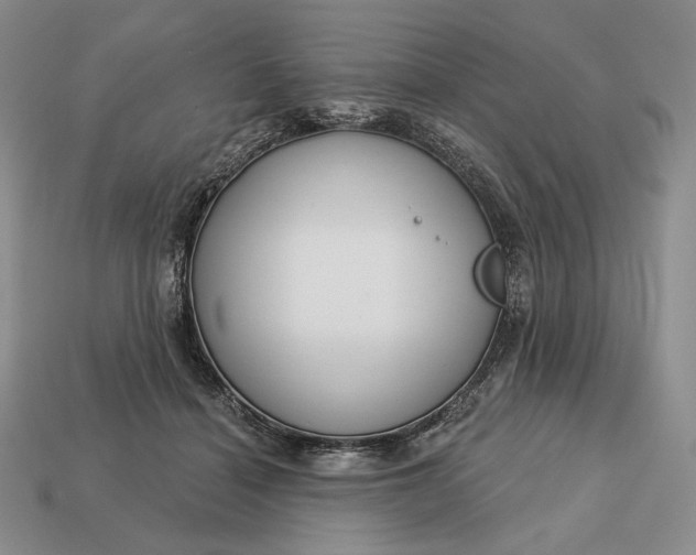 X0000113160460200909181815