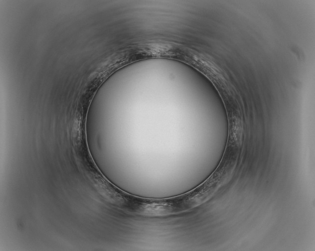 X0000113160461200909181815