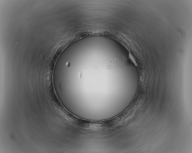 X0000113160462200909181815