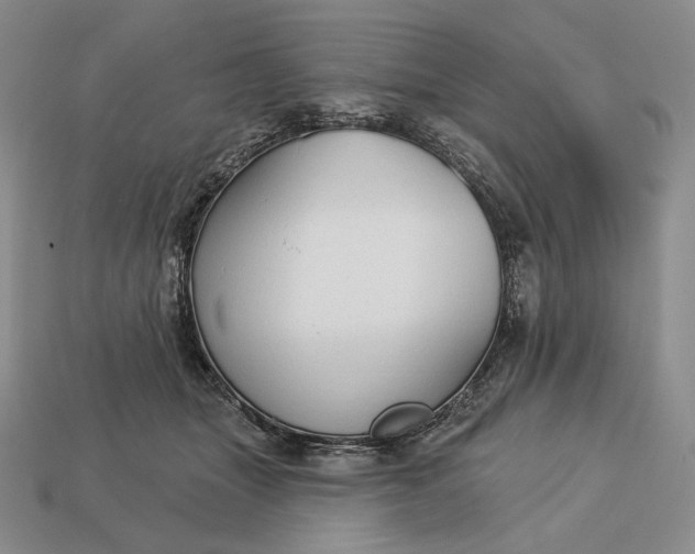 X0000113160463200909181815