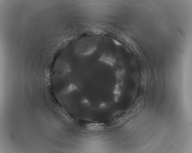 X0000113160465200909181815