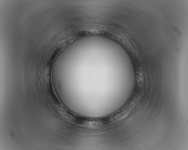 X0000113160466200909181815