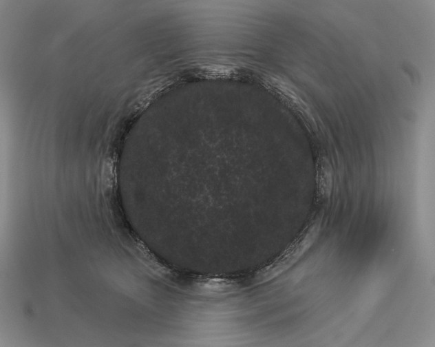 X0000113160467200909181815