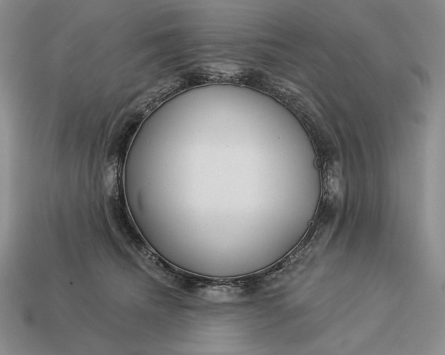 X0000113160468200909181815