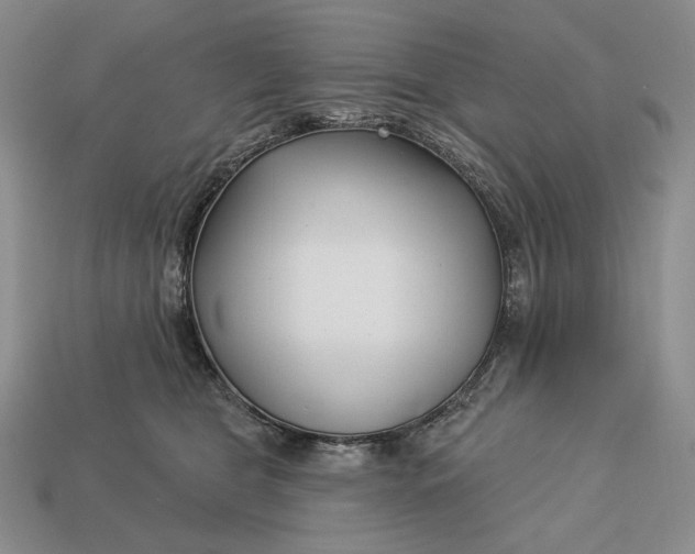 X0000113160469200909181815