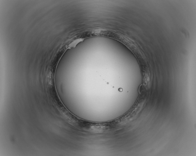 X0000113160470200909181815