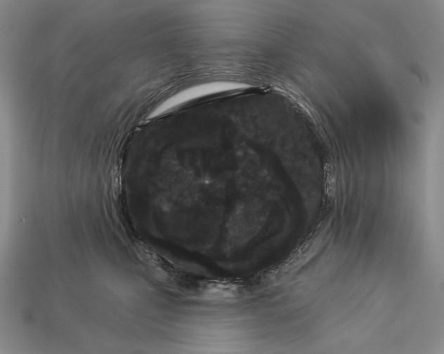 X0000113160471200909181815