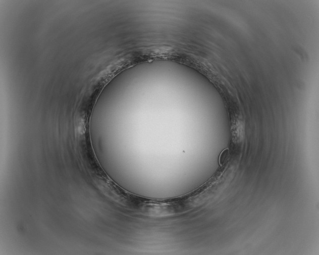 X0000113160472200909181815