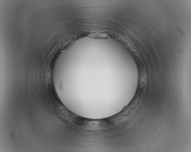 X0000113160473200909181815