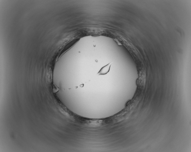 X0000113160474200909181815