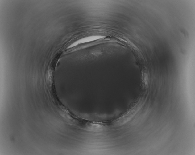 X0000113160475200909181815