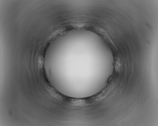 X0000113160476200909181815