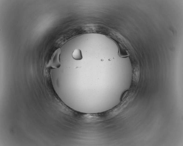 X0000113160477200909181815