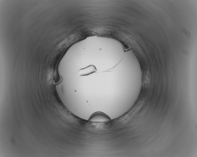 X0000113160478200909181815