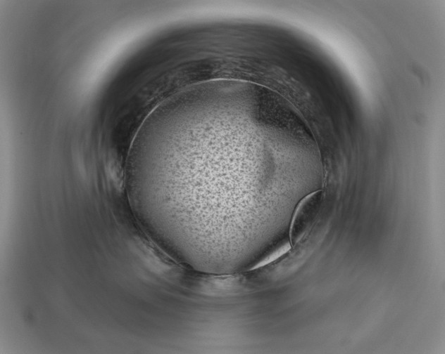 X0000113160479200909181815